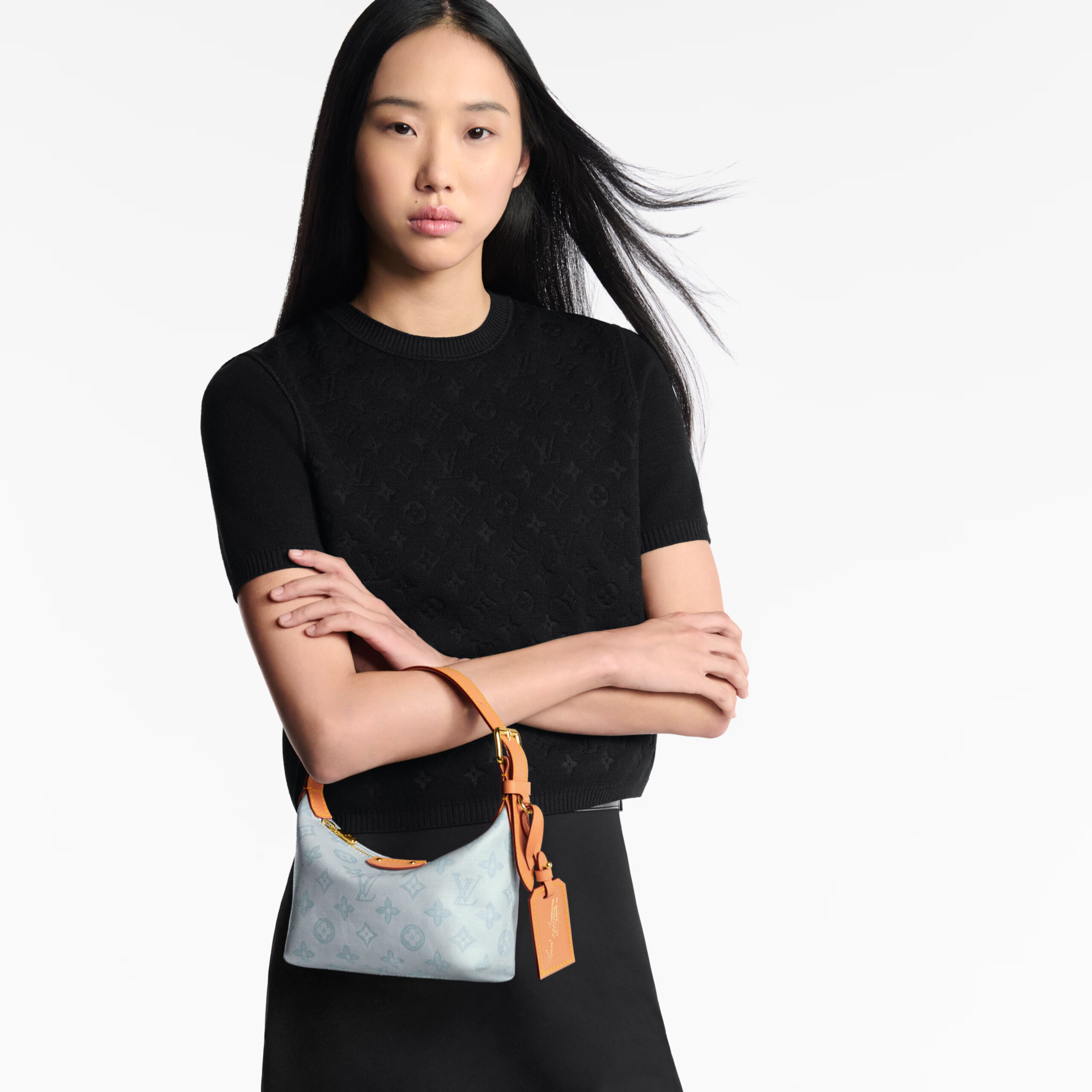 Louis Vuitton M28250 Pochette Hills Monogram Origine Louis Vuitton M28250 Pochette Hills Monogram Origine